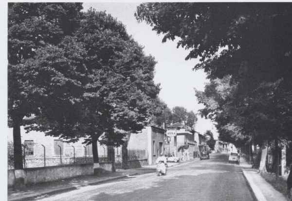 Borgo. Nuovo look per Viale Giovanni XXIII. Info & Storia....