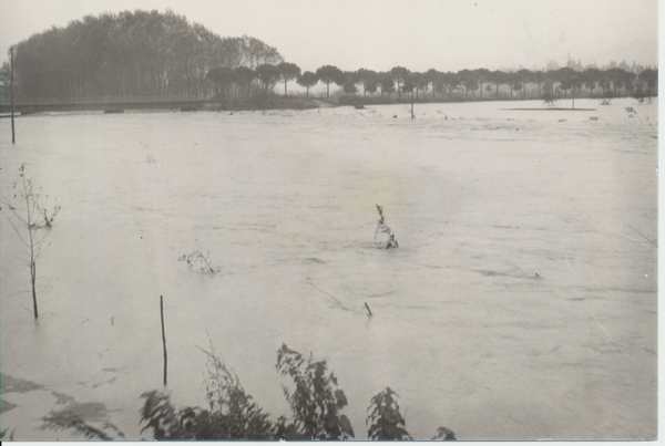 L'alluvione a Borgo. Ricordi e foto...