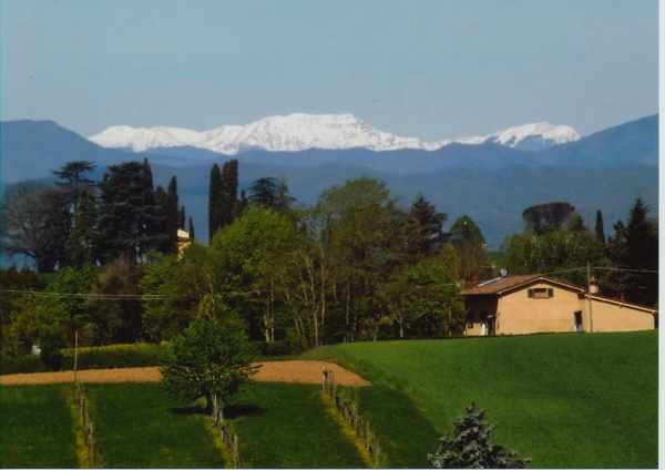 Il 'foto - indovinello' di Natale. Trovata la soluzione