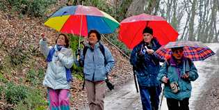 Meteo. Neve in collina. Ma il Natale non sarà bianco...