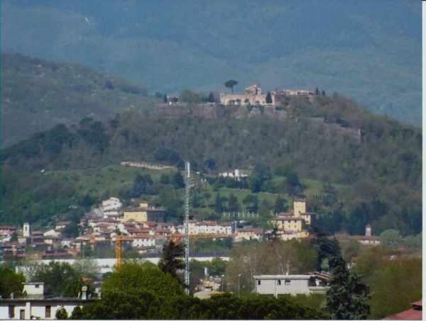 Il 'foto - indovinello' di Natale. Trovata la soluzione