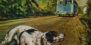 La storia di Fido su Canale 5. Info...