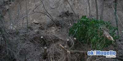 Polcanto. La frana compie due anni. Auguri