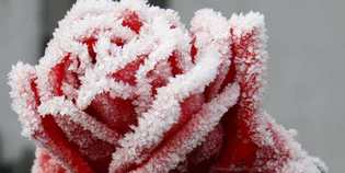 Giorno &amp, Notte. Il fine settimana in Mugello dall'11 al 13 gennaio