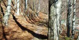 Giogo. Gotica Toscana trova i resti di un altro soldato tedesco...