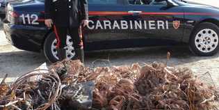 Ferrovia. Ladri di rame sulla Faentina. Arrestati