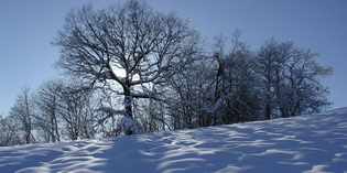 Mugello & Neve. Inviateci le vostre foto più belle