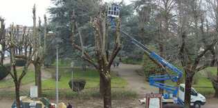 Borgo, potature in corso. Prossimi interventi a Ronta