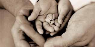 Cooperazione & Mugello. Alveare raddoppia, la nota...