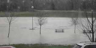 Frane, alberi caduti e allagamenti. Le foto del Mugello 'sottacqua'
