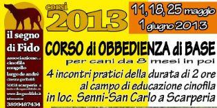 il Segno di Fido: corso di Obbedienza di Base