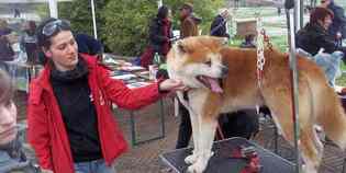 San Piero. Le foto più belle della 'Giornata a quattro zampe'....