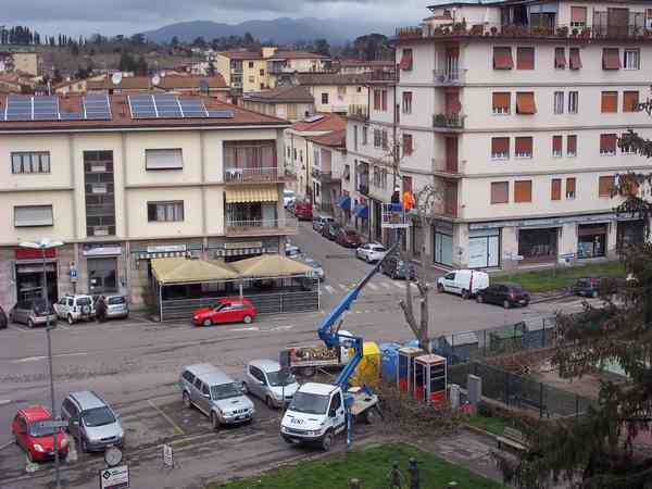 Borgo. 23 alberi secchi su Viale Pecori. Il 'nuovo' stenta...