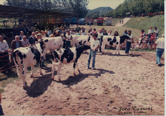 Borgo. Dal 6 al 9 giugno torna la Fiera Agricola. Info...