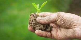Agricoltura organica. Un corso a Vicchio...