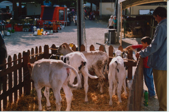 Borgo. Dal 6 al 9 giugno torna la Fiera Agricola. Info...