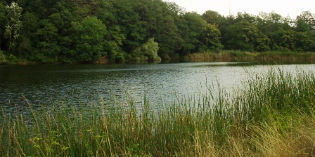 Pratolino. Il parco negli acquerelli di 'Pan', la mostra...