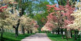 Giorno & Notte. Il fine settimana in Mugello dal 3 al 5 Maggio