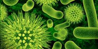 Intossicati in gita in Mugello: 'Si trattava di un Virus...'