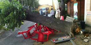 Maltempo. Bomba d'acqua a Borgo. Caduta di alberi e scuola allagata.