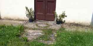 San Giovanni e l'erba alta nel cimitero. Foto di un lettore...