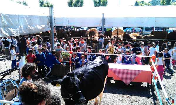 Borgo. Chiusa la Fiera Agricola, bilancio degli organizzatori