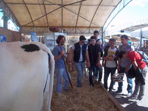 Borgo. Tanti ragazzi all'inaugurazione della Fiera Agricola. Info...