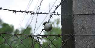Borgo. I ragazzi del Chini al Viaggio della Memoria. Racconto e foto...