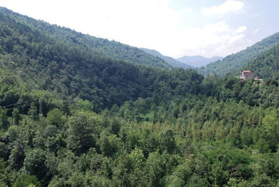 Palazzuolo Sul Senio, potenziato il servizio elettrico