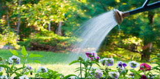 Arriva il caldo: limitiamo i consumi di acqua potabile