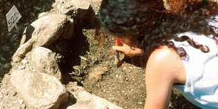 Domenica 14 luglio a Palazzuolo presentazione tesi in Archeologia