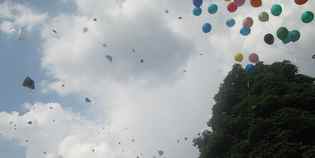 Un Amico per tutti. Successo e cronaca della passeggiata nel verde