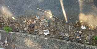 Borgo e suoi marciapiedi. Le foto (e il degrado?) di Viale Giovanni XXIII