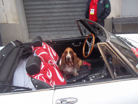 Mugello Autoday. Cronaca e foto del raduno per auto storiche....