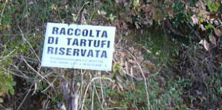Borgo. Vietato l'accesso alla tartufaia per i non autorizzati