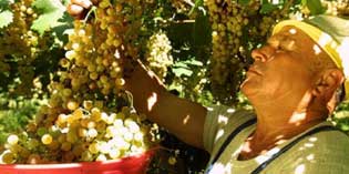 In campagna contro la crisi. 3000 posti disponibili.