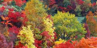 Giorno & Notte. Tutto il fine settimana in Mugello dal 27 al 29 settembre