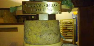 Scarperia. Il 6 ottobre il gustoso taglio del Gran Mugello Ubaldino.