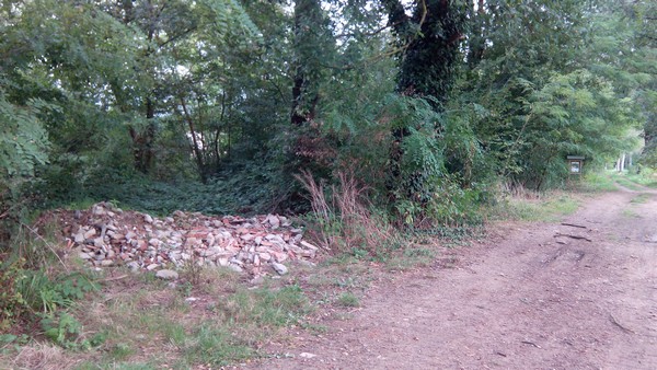 Borgo. Lunedì intervista con il sindaco, invia le tue domande