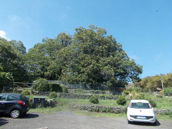 Appunti di viaggio. Un mugellano in vacanza nella Sicilia orientale, foto...