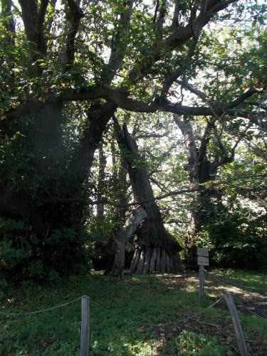 Appunti di viaggio. Un mugellano in vacanza nella Sicilia orientale, foto...