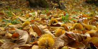 Giorno & Notte. Tutto il fine settimana in Mugello dall'11 al 13 ottobre