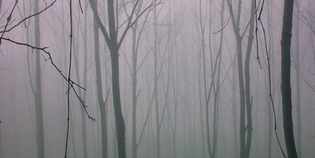 Giallo a Barberino. Uomini legati abbandonati sul ciglio della strada?