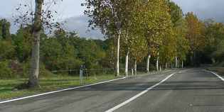 Mugello e Valdisieve. Interrogazione parlamentare sulla Statale 67