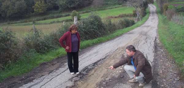 San Cresci - Arliano. Una strada disastrata, e un albero pericolante. Foto...