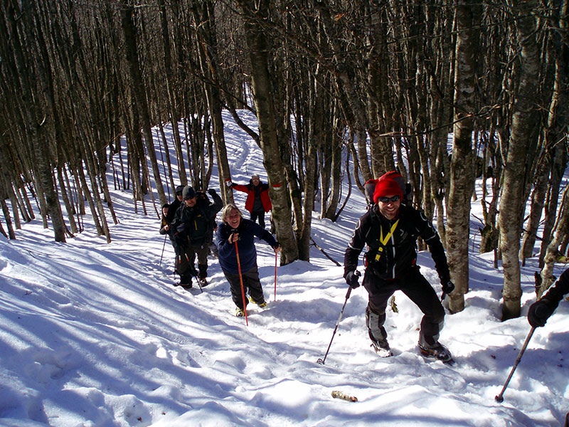 Into the Wild... la neve del Falterona: riflessioni della Guida