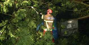 Maltempo e vento in Mugello. Soccorritori attivi anche per le feste...