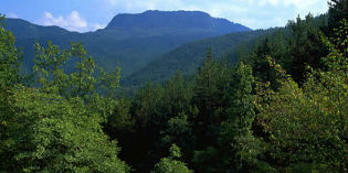 Il Richiamo della foresta. Escursione a cura di ApuaneTrekking.