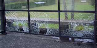 Tre ragazzi di Dicomano devastano pensilina a Rufina. Denunciati...