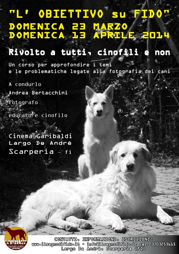 “L’obiettivo su Fido”: corso di fotografia dell’asd Cinofila Mugello.